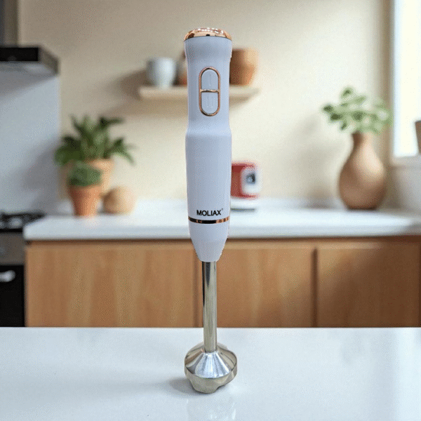 MOLIAX Heavy Duty Imported Hand Blender (4 Blades Stainless Steel)