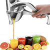 2025/10/1000287661.png Press Manual Stainless Fruit Juicer