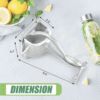 2025/10/1000287665.png Press Manual Stainless Fruit Juicer